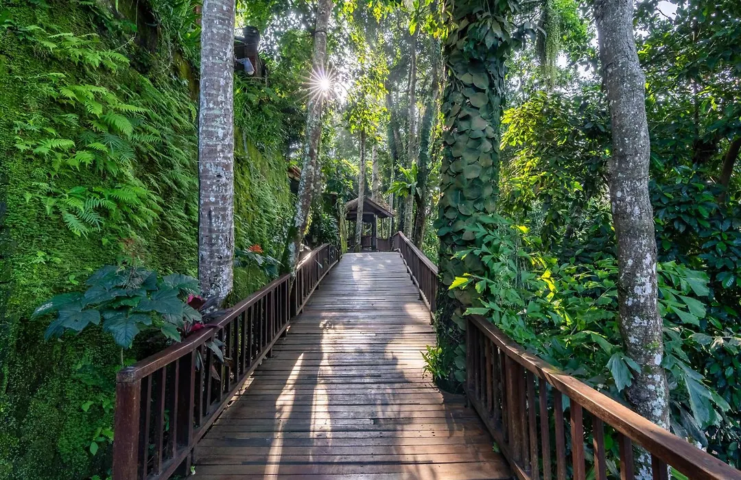 Natura Resort And Spa Ubud-1